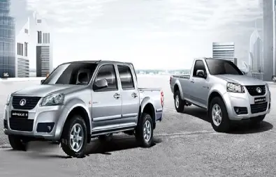 وینگل 5 ( Wingle 5 )