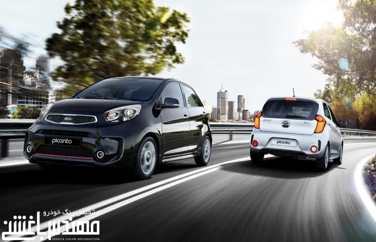 کیا پیکانتو