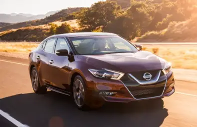 ماکسیما ( Maxima 2016 )