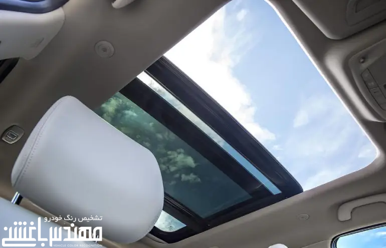 رنو کولیوس ( کولئوس )