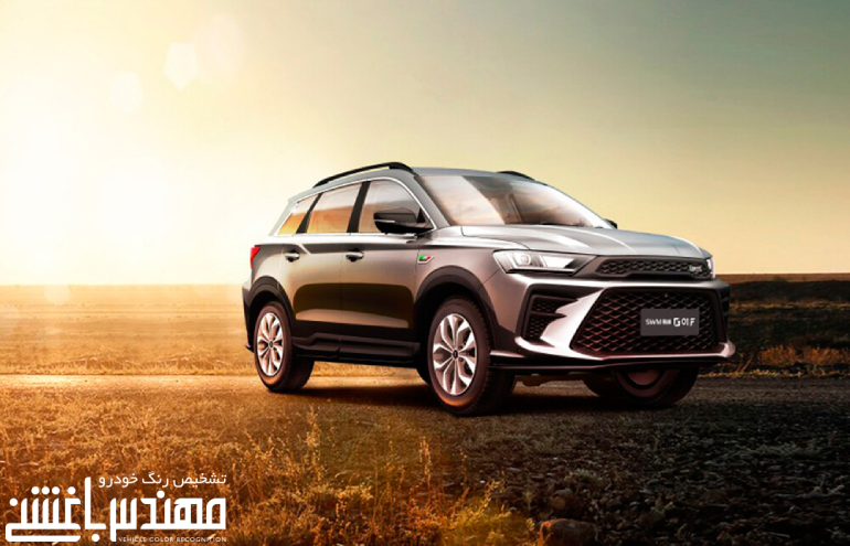 
اس دبلیو ام G01F