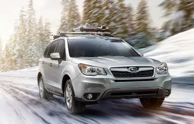 فارستر ( Forester )