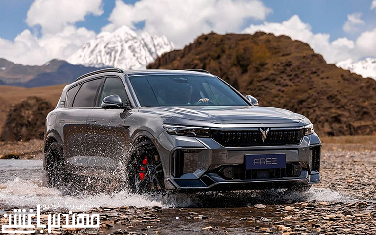 وویا فری 2025
