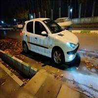 پژو 206 تیپ 5 مدل 1395