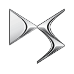 دی اس