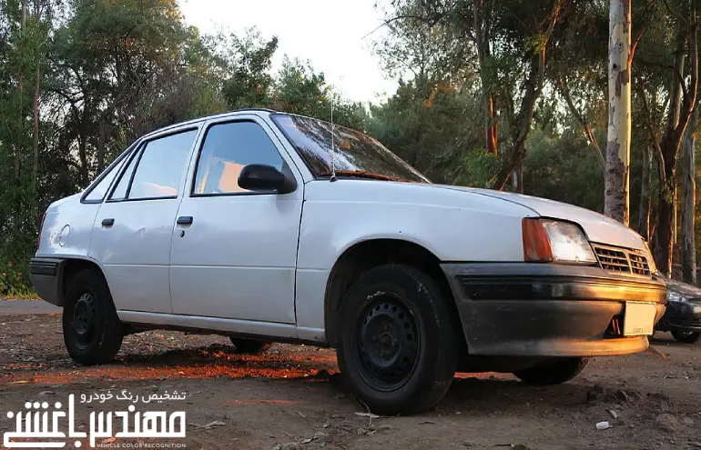 دوو ریسر